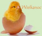 P�ywalnia Wolsztyn